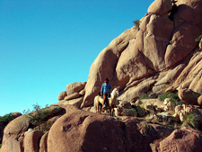 USA-Arizona-Apache Trail